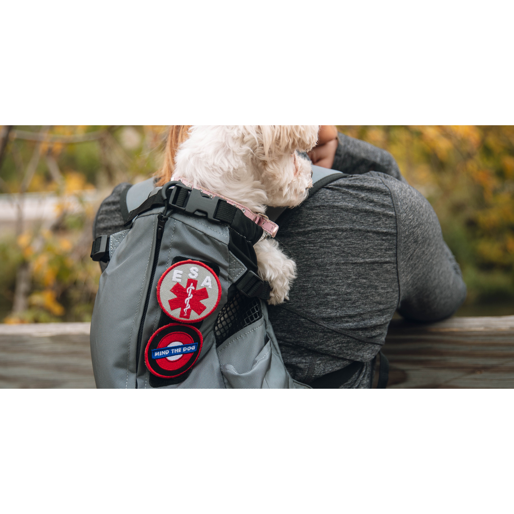 Please Pet Me Patch – K9 Sport Sack